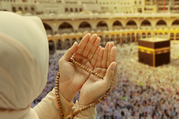 1200x600-Asha Pro.jpg